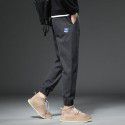 Youth Autumn and Winter New Fashion Simple Versatile Leggings Casual Men's Loose Crop Pants 