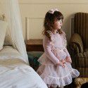 Autumn and winter style Strawberry Shan Korean children's dress girls' fake two pieces of lace foreign fairy gas plush T-shirt pre-sale 