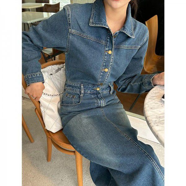 Retro waistband denim dress for women's spring new classic slimming