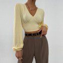 Women's sexy backless top with tied V-neck long sleeved versatile short shirt 