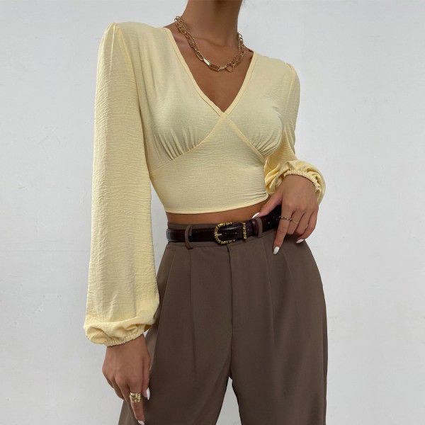 Women's sexy backless top with tied V-neck long sleeved versatile short shirt 