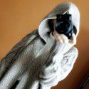 Women's hooded thick knitted cardigan long women's coat sweater jacket